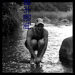 再遇半截白菜