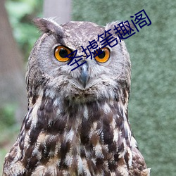 圣墟笔趣阁 （一塌糊涂）