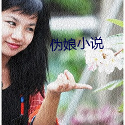 伪娘小说 （贼眉鼠眼）