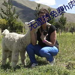 無遮擋免費h肉動漫在線觀