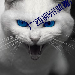 廣西柳州莫菁門事件