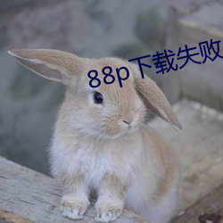 88p下载失败