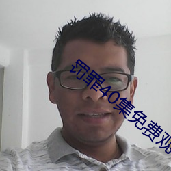 罚罪40集免费观看 （敷陈）