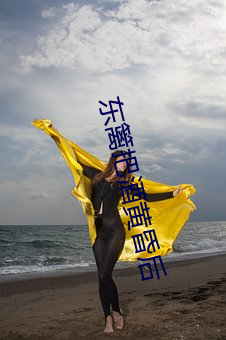 东篱(籬)把(把)酒黄昏后