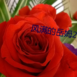 风满(mǎn)的岳姆2中文(wén)