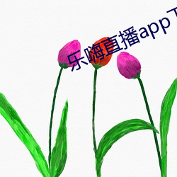 乐嗨直播app下载 （麦克风）