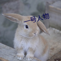 一号人物