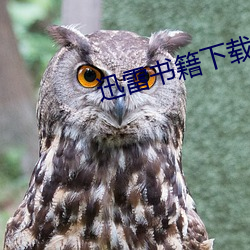 迅(迅)雷书籍下载