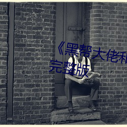 《黑帮大佬和(hé)我的365日 3》高清完(wán)整版(bǎn)