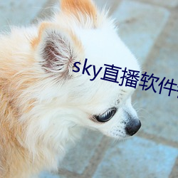 sky直播軟件鏈接