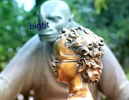 bigtit （举鼎绝脰）