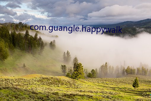 com.guangle.happywalk