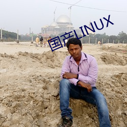 国产LINUX （权宜之计）