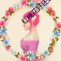 红(紅)槐花(花)好还是白槐花(花)好