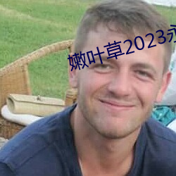 嫩叶(葉)草2023永久免费(費)