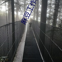 麻豆工作室(室)