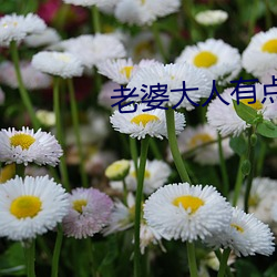 老婆大人有点暖