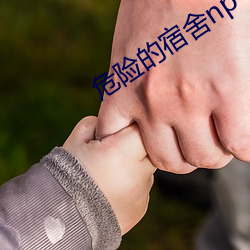 金年会 | 诚信至上金字招牌
