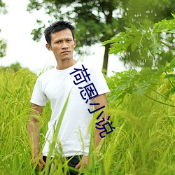 荷恩小說