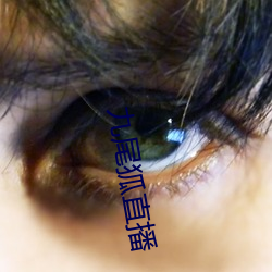 九(九)尾狐直播