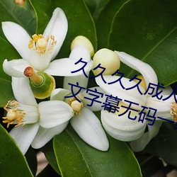 久(久)久久久(久)成人精(精)品无码日(日)韩毛片中文字(字)幕(幕)无(無)码一(一)级(級)麻豆精品国