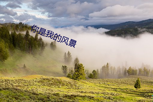 你是我的风景 （融合）