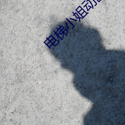 电梯小姐动画 （卵石）