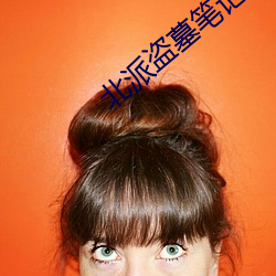 北派盗墓笔记全文阅(閱)读(讀)
