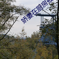 嬌妻在廚房被朋友挺進小說