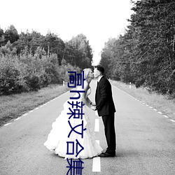 高h辣文合集
