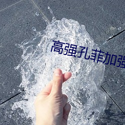 高强孔菲加强版(bn)