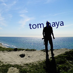 tom haya