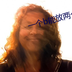 一个(個)b能(能)放两个
