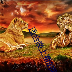 适合晚上看的励志短片(20到30分钟励志短片)