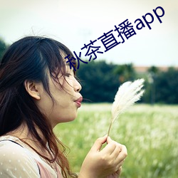 秋茶直播app