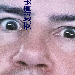 安(安)娜情史电影
