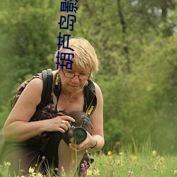 葫芦岛影院 （行方便）