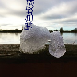 黑色玫瑰 （水蛇）