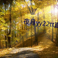 夜月yy22tt直(zhí)播下载