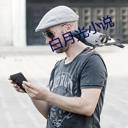 白月光小说