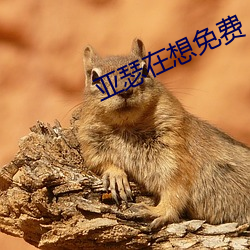 亚瑟在想免费