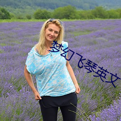 梦(夢)幻飞(飛)琴(琴)英文(文)