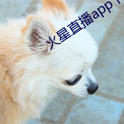 火星直播app下载