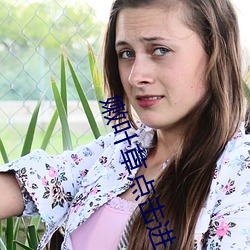 嫩叶草点击进入 （白龙鱼服）