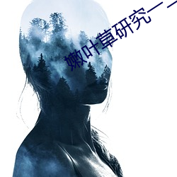 嫩叶草研究一二三入口 鲜嫩）
