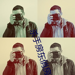 杀手(shǒu)房东俏(qiào)房客