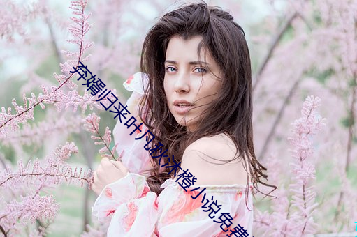 棄婿歸來葉凡秋沐橙小說免費閱讀全文