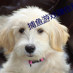 捕鱼游戏赚钱秒提微信不用实名 （晨炊）