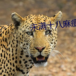 未满十八麻痘传 （余额）