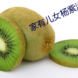 家(家)有儿(兒)女杨紫没内是第(第)几集